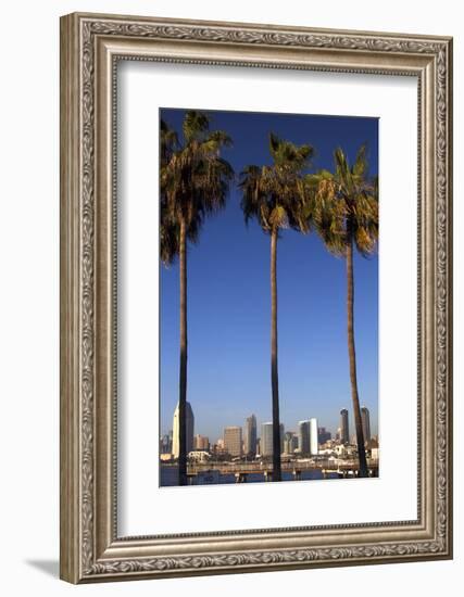 USA, California, San Diego. San Diego Skyline and Palm Trees-Kymri Wilt-Framed Photographic Print