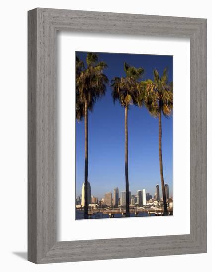 USA, California, San Diego. San Diego Skyline and Palm Trees-Kymri Wilt-Framed Photographic Print