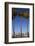 USA, California, San Diego. San Diego Skyline and Palm Trees-Kymri Wilt-Framed Photographic Print