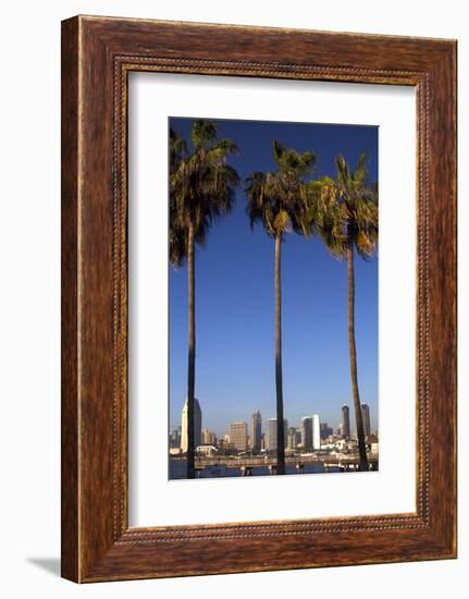 USA, California, San Diego. San Diego Skyline and Palm Trees-Kymri Wilt-Framed Photographic Print