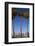 USA, California, San Diego. San Diego Skyline and Palm Trees-Kymri Wilt-Framed Photographic Print