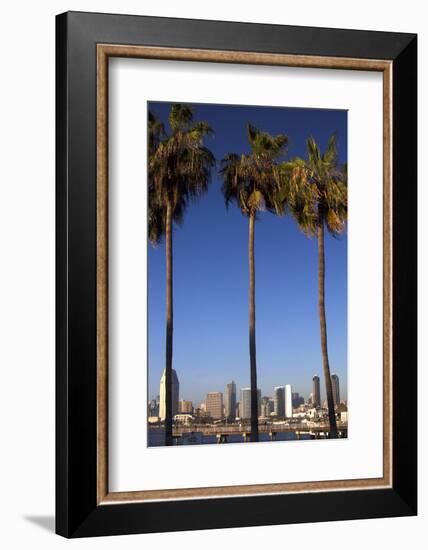 USA, California, San Diego. San Diego Skyline and Palm Trees-Kymri Wilt-Framed Photographic Print