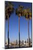 USA, California, San Diego. San Diego Skyline and Palm Trees-Kymri Wilt-Mounted Photographic Print