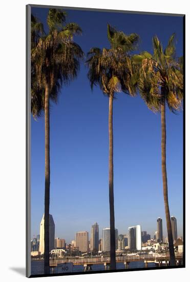 USA, California, San Diego. San Diego Skyline and Palm Trees-Kymri Wilt-Mounted Photographic Print