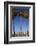 USA, California, San Diego. San Diego Skyline and Palm Trees-Kymri Wilt-Framed Photographic Print