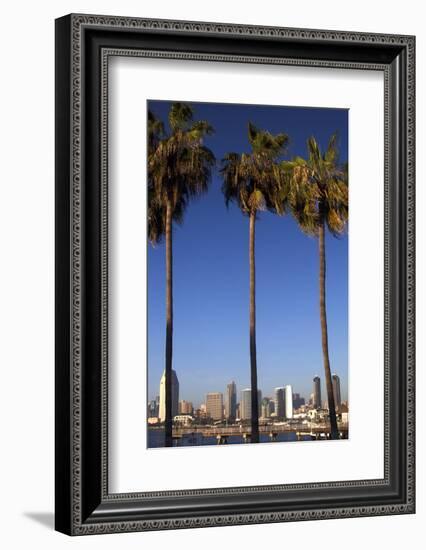 USA, California, San Diego. San Diego Skyline and Palm Trees-Kymri Wilt-Framed Photographic Print