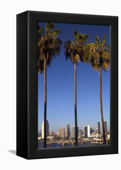 USA, California, San Diego. San Diego Skyline and Palm Trees-Kymri Wilt-Framed Premier Image Canvas