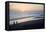 USA, California, San Diego. Swami's Beach at Sunset, Cardiff by the Sea-Kymri Wilt-Framed Premier Image Canvas