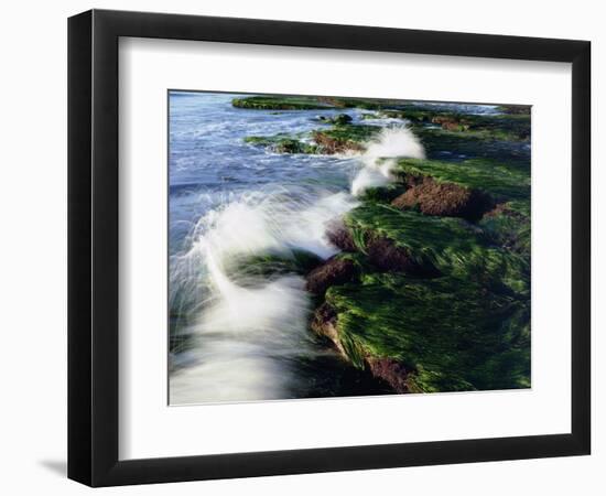 USA, California, San Diego. Waves Breaking on Tide Pools-Jaynes Gallery-Framed Photographic Print