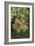 USA, California, San Luis Obispo County. Monarch butterflies in wintering cluster.-Jaynes Gallery-Framed Photographic Print