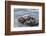 USA, California, San Luis Obispo County. Sea otter mother and pup grooming.-Jaynes Gallery-Framed Photographic Print