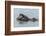 USA, California, San Luis Obispo County. Sea otter mother and pup.-Jaynes Gallery-Framed Photographic Print