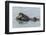 USA, California, San Luis Obispo County. Sea otter mother and pup.-Jaynes Gallery-Framed Photographic Print