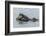 USA, California, San Luis Obispo County. Sea otter mother and pup.-Jaynes Gallery-Framed Photographic Print