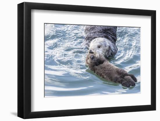 USA, California, San Luis Obispo. Sea otter mother and pup.-Jaynes Gallery-Framed Photographic Print