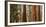 USA, California, Sequoia National Park, Panoramic View of Giant Sequoia Tree-Ann Collins-Framed Photographic Print