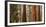 USA, California, Sequoia National Park, Panoramic View of Giant Sequoia Tree-Ann Collins-Framed Photographic Print