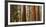 USA, California, Sequoia National Park, Panoramic View of Giant Sequoia Tree-Ann Collins-Framed Photographic Print