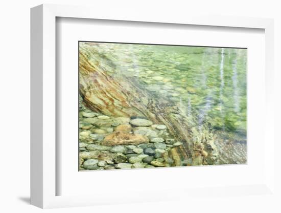 USA, California, Sequoia National Park. Stones in Paradise Creek.-Jaynes Gallery-Framed Photographic Print