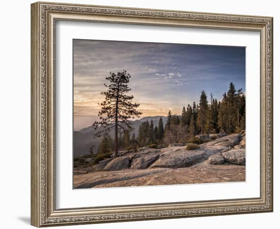 USA, California, Sequoia National Park. Sunset Near Beetle Rock Education Center-Ann Collins-Framed Photographic Print