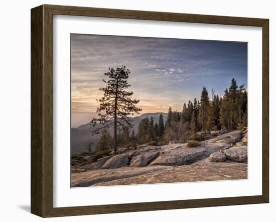 USA, California, Sequoia National Park. Sunset Near Beetle Rock Education Center-Ann Collins-Framed Photographic Print