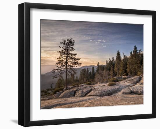 USA, California, Sequoia National Park. Sunset Near Beetle Rock Education Center-Ann Collins-Framed Photographic Print