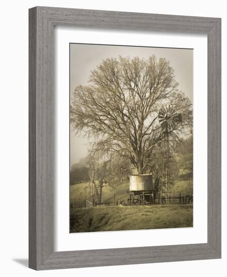 USA, California, Shell Creek Road. Windmill, water tank and oak tree.-Jaynes Gallery-Framed Photographic Print