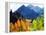 USA, California, Sierra Nevada. Aspen Trees in the Mcgee Creak Area-Jaynes Gallery-Framed Premier Image Canvas