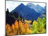 USA, California, Sierra Nevada. Aspen Trees in the Mcgee Creak Area-Jaynes Gallery-Mounted Photographic Print