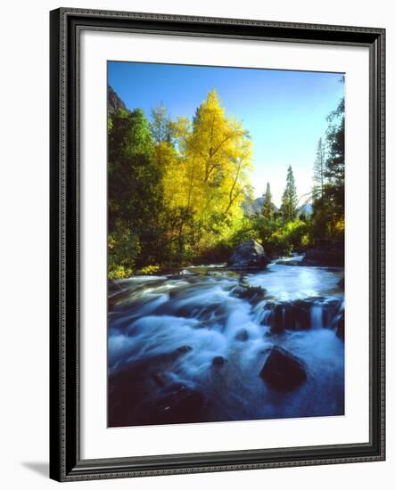 USA, California, Sierra Nevada, Autumn Colors Along a Stream-Jaynes Gallery-Framed Photographic Print