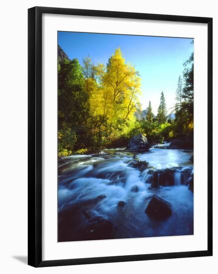 USA, California, Sierra Nevada, Autumn Colors Along a Stream-Jaynes Gallery-Framed Photographic Print