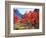 USA, California, Sierra Nevada. Autumn Red Aspen Trees-Jaynes Gallery-Framed Photographic Print