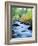 USA, California, Sierra Nevada, Fall Refection in Lee Vining Creek-Jaynes Gallery-Framed Photographic Print