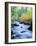 USA, California, Sierra Nevada, Fall Refection in Lee Vining Creek-Jaynes Gallery-Framed Photographic Print