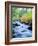 USA, California, Sierra Nevada, Fall Refection in Lee Vining Creek-Jaynes Gallery-Framed Photographic Print