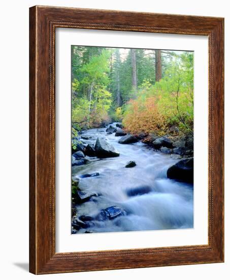 USA, California, Sierra Nevada, Fall Refection in Lee Vining Creek-Jaynes Gallery-Framed Photographic Print