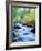 USA, California, Sierra Nevada, Fall Refection in Lee Vining Creek-Jaynes Gallery-Framed Photographic Print