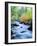 USA, California, Sierra Nevada, Fall Refection in Lee Vining Creek-Jaynes Gallery-Framed Photographic Print