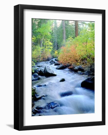 USA, California, Sierra Nevada, Fall Refection in Lee Vining Creek-Jaynes Gallery-Framed Photographic Print