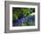 USA, California, Sierra Nevada. Lupine Wildflowers in the Forest-Jaynes Gallery-Framed Photographic Print