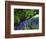 USA, California, Sierra Nevada. Lupine Wildflowers in the Forest-Jaynes Gallery-Framed Photographic Print