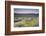 USA, California, Sierra Nevada Mountains. Wildflowers in Owens Valley.-Jaynes Gallery-Framed Photographic Print