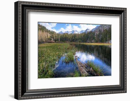 USA, California, Sierra Nevada Range. Landscape with Weir Pond-Dennis Flaherty-Framed Photographic Print