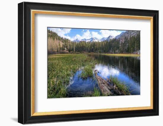 USA, California, Sierra Nevada Range. Landscape with Weir Pond-Dennis Flaherty-Framed Photographic Print