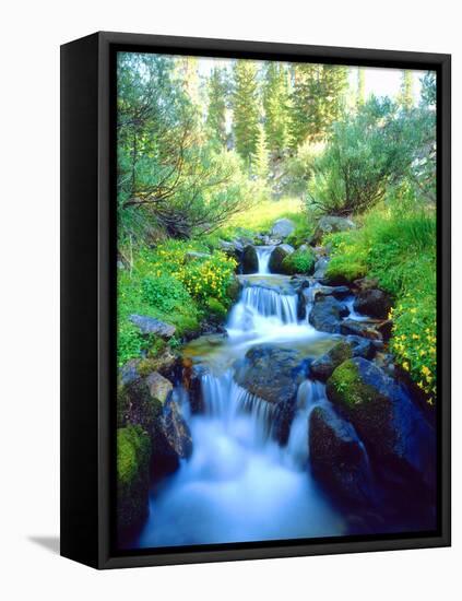 USA, California. Sky Meadows in the Sierra Nevada Mountains-Jaynes Gallery-Framed Premier Image Canvas