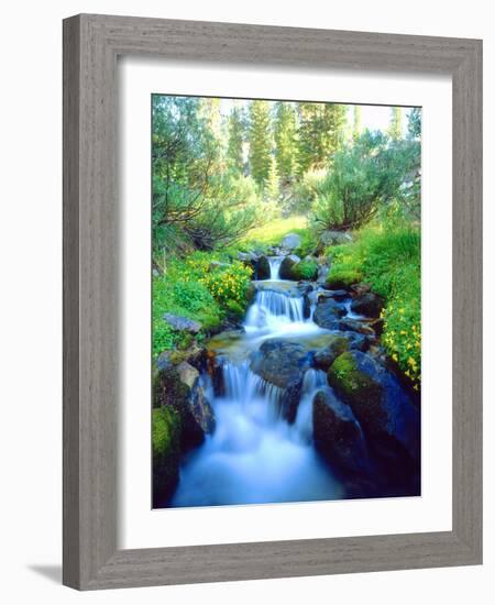 USA, California. Sky Meadows in the Sierra Nevada Mountains-Jaynes Gallery-Framed Photographic Print