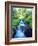 USA, California. Sky Meadows in the Sierra Nevada Mountains-Jaynes Gallery-Framed Photographic Print