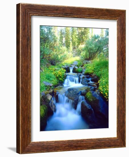 USA, California. Sky Meadows in the Sierra Nevada Mountains-Jaynes Gallery-Framed Photographic Print