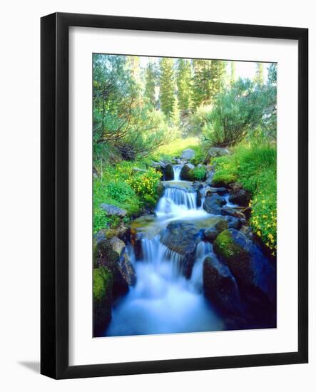 USA, California. Sky Meadows in the Sierra Nevada Mountains-Jaynes Gallery-Framed Photographic Print