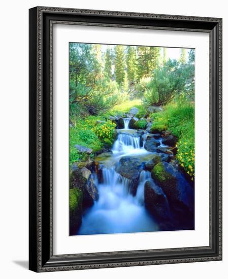 USA, California. Sky Meadows in the Sierra Nevada Mountains-Jaynes Gallery-Framed Photographic Print